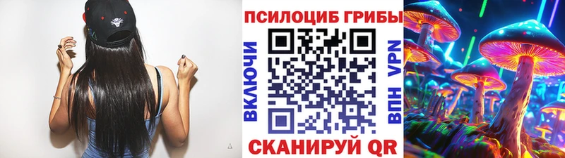 Псилоцибиновые грибы мицелий  KRAKEN рабочий сайт  Сергач 